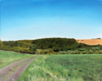 Landschaft bei Dannenfels <br> Öl auf Papier, 38 x 46 cm