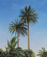 Manriques Palmen <br> Öl auf Papier, 60 x 40 cm