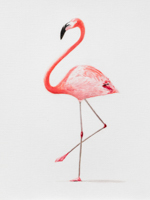 Flamingo <br> Öl auf Papier, 40 x 30 cm