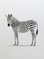 Zebra <br> Öl auf Papier, 40 x 30 cm
